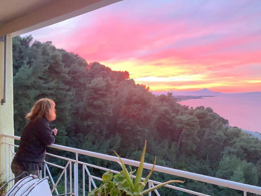 Amfiteatrico Sea View - Kalamos Attiki Apartment Markopoulon Oropou Luaran gambar