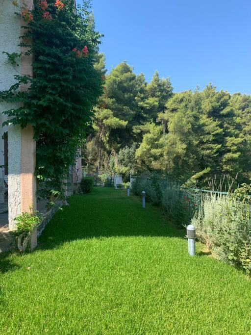 Amfiteatrico Sea View - Kalamos Attiki Apartment Markopoulon Oropou Luaran gambar